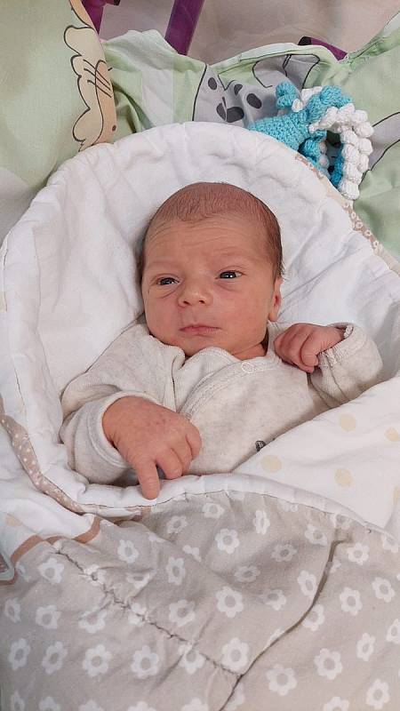 Antonín Gelnar, Šenov, narozen 15. listopadu 2022 v Havířově, míra 50 cm, váha 3040 g. Foto: Michaela Blahová
