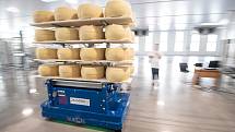 Robotizovaný sklad sklad sýrů společnosti Gran Moravia, 12. srpna 2021 v Cogollo del Cengio v provincii Vicenza, Benátsko, Itálie. Autonomní vozítko odváží bochníky do skladu.