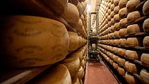 Tradiční sklad sýrů společnosti Gran Moravia, 11. srpna 2021 v Bevadoro, Itálie. Stroj na otáčení a čištění sýrů.