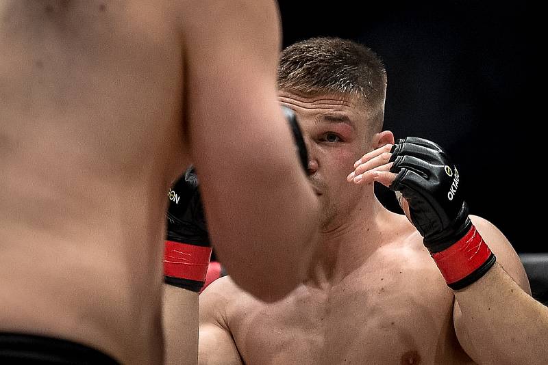 MMA Octagon 11 v Ostravar aréně, 16. března 2019 v Ostravě. Na snímku (v červeném) Miloš Petrášek proti Jeremy Kimball.