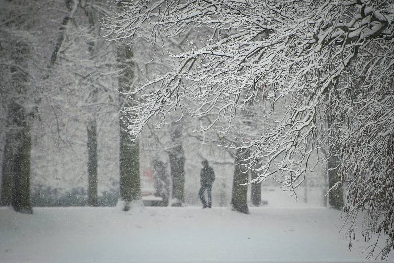 Zima v Ostravě. Čerstvě napadaný sníh v Komenského sadech.