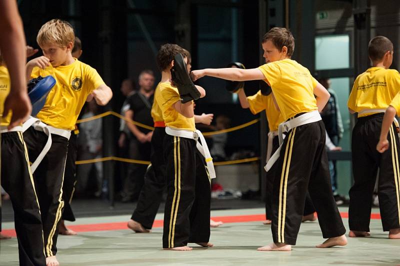 Slavnosti bojových umění, které pořádal oddíl AIKIDO Sportovního klubu Policie Ostrava. 