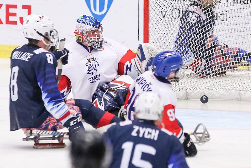 Mistrovství světa v para hokeji 2019, 3. května 2019 v Ostravě. Na snímku (zleva) Wallace Jack (USA), Kudela Martin (CZE).