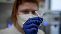 Jako první na moravě laboratoře AGELLAB umí detekovat přítomnost koronaviru ze vzorku slin, 25. Ledna 2021 v Ostravě. Odběrové testovací sada.