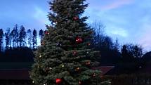  V obci Čáková roste vánoční strom před obecním úřadem. Místní strom zasadili v roce 2014. Obec žije v souladu s přírodou, a tak má svůj stále rostoucí živý strom, aby stromy nemusela kácet každým rokem v lese. Snímky zaslala Zdeňka Jančová.