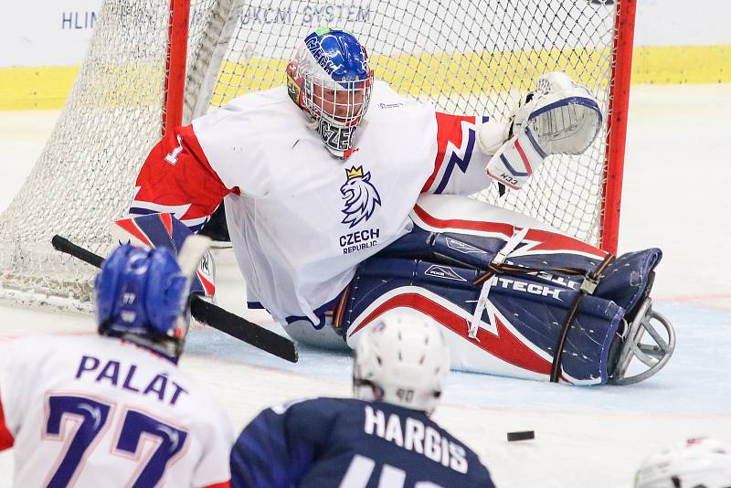 Mistrovství světa v para hokeji 2019, 3. května 2019 v Ostravě. Na snímku Kudela Martin (CZE).