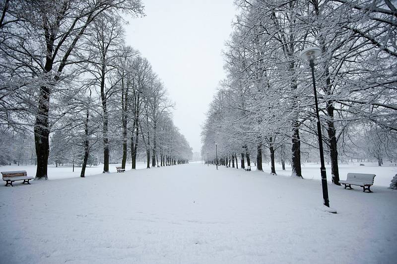 Zima v Ostravě. Čerstvě napadaný sníh v Komenského sadech.