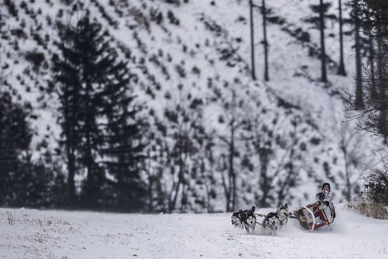 Jako na Aljašce si museli připadat lidé, kteří v sobotu navštívili Bordovice na Novojičínsku, kde se konaly závody psích spřežení.