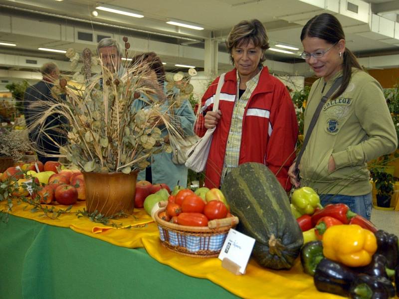 V pořadí již pátý ročník podzimní výstavy pro zahrádkáře, včelaře a floristy přilákal na Černou louky stovky lidí