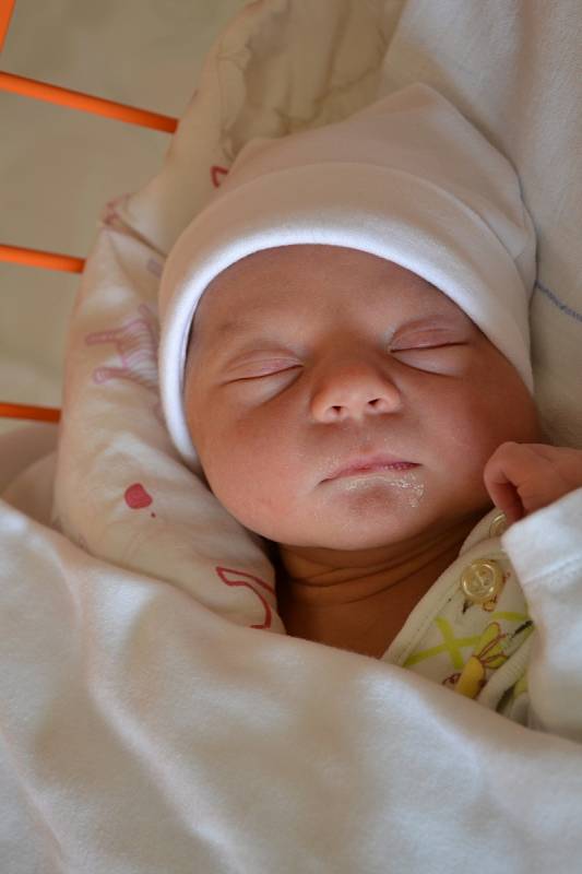 Alex Albert Kraus, 13. 3. 2017, 3050 g, 49 cm, Stará Ves nad Ondřejnicí. Vítkovická nemocnice Ostrava. 