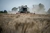 Statistici: sklizeň bude letos na Vysočině bohatá. Nejvíce bude pšenice