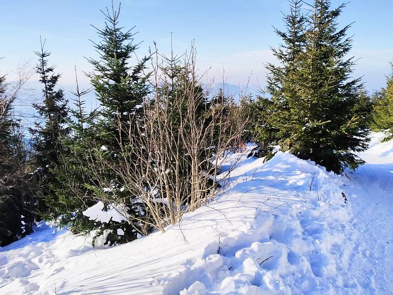 Beskydy, cesta na Lysou horu, 2. ledna 2020.