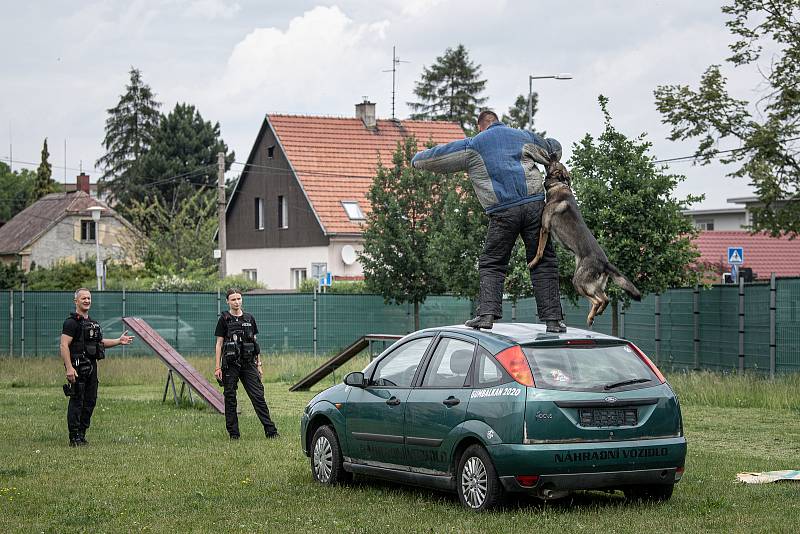 Ukázka činnosti MPO (Městská policie Ostrava) k 30. výročí, 13. června 2022 v Ostravě.