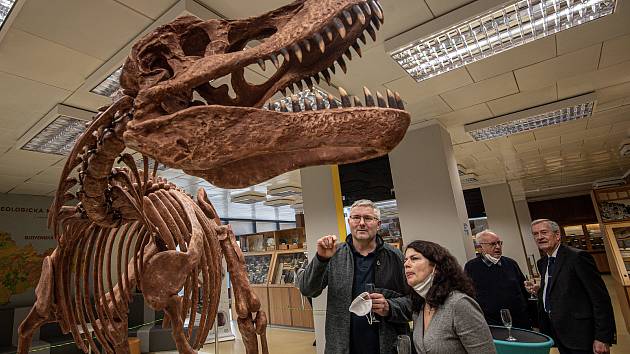 V Geologickém pavilonu v areálu VŠB-TUO (Vysoké školy báňské - Technické univerzity Ostrava) odhalili 2,5 metru vysoký a pět metrů dlouhý model kostry Tyranosaura rexe, 18. ledna 2022.