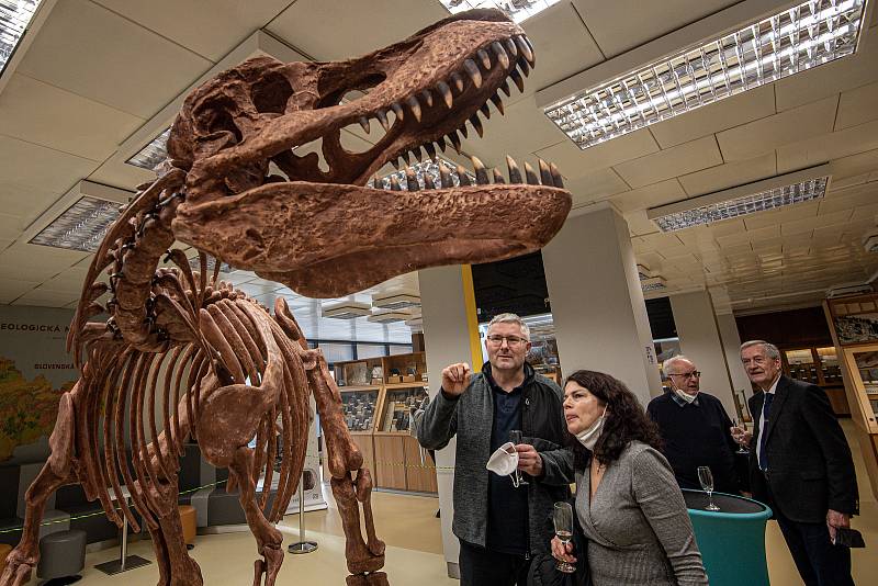 V Geologickém pavilonu v areálu VŠB-TUO (Vysoké školy báňské - Technické univerzity Ostrava) odhalili 2,5 metru vysoký a pět metrů dlouhý model kostry tyranosaura rexe, 18. ledna 2022.