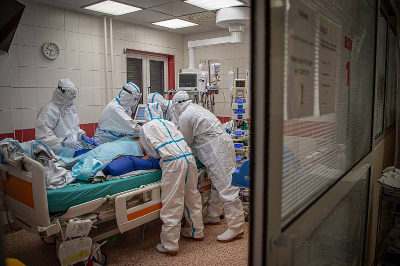 Boj s covidem na ARO jednotce v nemocnici Agel v Ostravě-Vítkovicích. Ilustrační foto.