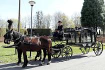 Hornický důchodce Valter Broda vyrůstal od mala s koňmi, s více než sedmdesátkou na krku začal jezdit s historickým funebráckým vozem honosné pohřby.