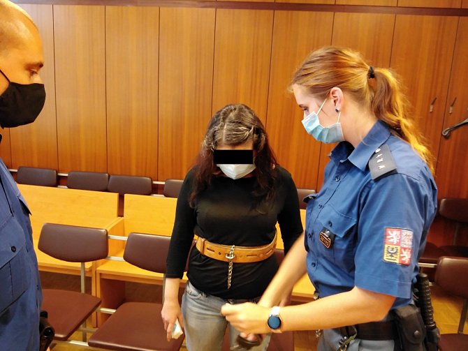 Soud v Ostravě ženě za vraždu novorozence v Karviné uložil sedmnáct let.