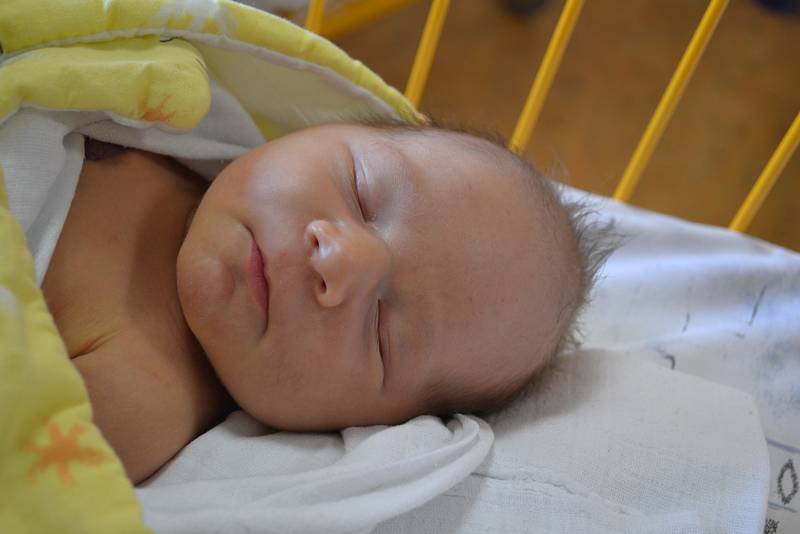 Vilém Habarta, 7. 7. 2019, 51 cm, 4000 g, Orlová. Vítkovická nemocnice Ostrava.