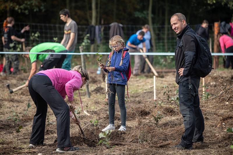 Ilustrační foto z akce Sázíme lesy nové generace, která se uskutečnila 19. řina 2019 v Šilheřovicích.