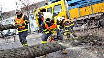 Kvůli větru musela být v Ostravě přibližně na půl hodiny zastavena tramvajová doprava v ulici 1. máje. Třicetimetrová lípa se se zde opřela do trolejí.