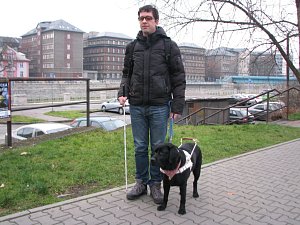 Jakub Starek a Colette, nevidomý právník a jeho vodicí pes.
