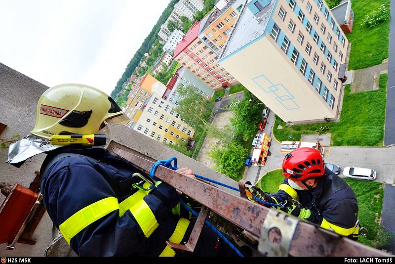 Záchrana poštolky v Ostravě.