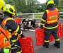 Na D1 v Ostravě vběhlo osm kozlů. Zvířata prchla majiteli, pryč je hnali hasiči