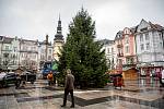 Centrální Masarykovo náměstí v Ostravě bude po pěti letech během Vánoc znovu zdobit živý vánoční strom. Přibližně desetimetrový smrk ztepilý z lokality Jestřábí v Beskydech byl 22. listopadu 2021 přivezen do krajské metropole.