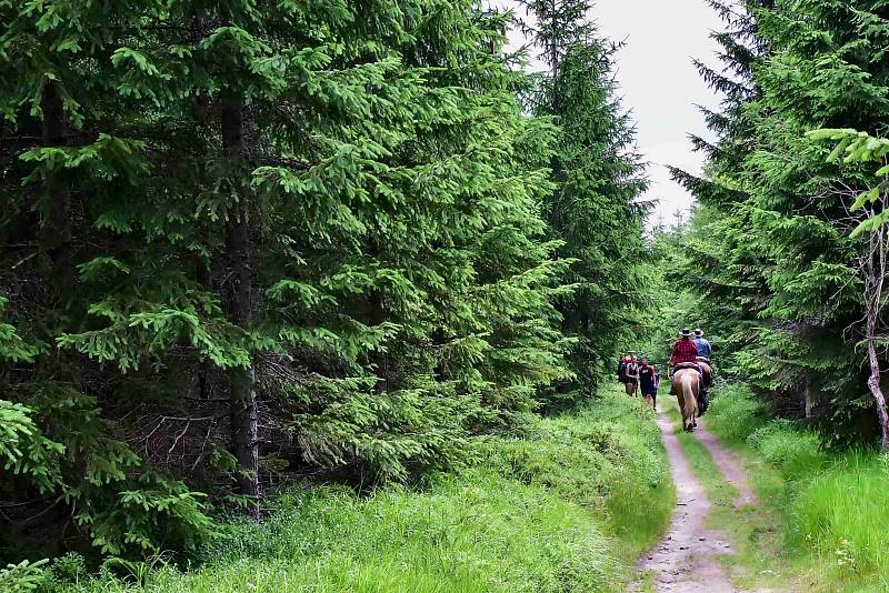 Z turistické procházky po beskydských kopcích z Bílého Kříže na Malý Polom.