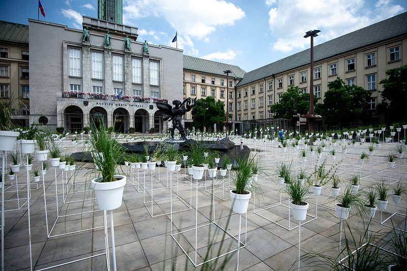 Výstavy Victoria natura (autoři: Juráš Lasovský & Haenke) na Prokešově náměstí v rámci Landscape festival, 13. června 2019 v Ostravě.