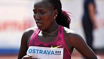 Zlatá tretra Ostrava 2014. Florence Kiplagat.