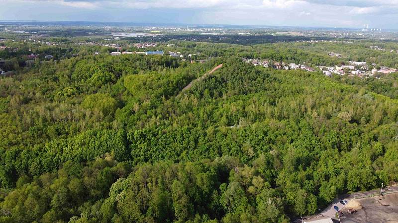 Výhledy z Haldy Ema nabízejí pohled na město Ostrava, Beskydy, Nízký Jeseník a ještě dál.