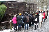 Vánoční čas v Zoo Ostrava, 24. prosince 2021.