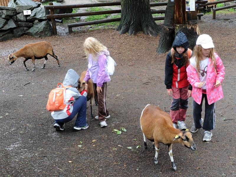 Návštěva ostravské zoologické zahrady. Víkend patřil antilopě Derbyho