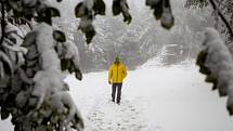 Na Pustevnách v Beskydech napadl 13. října 2020 první sníh.