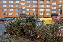 Vyhozené vánoční stromky u kontejnerů, 10. ledna 2022 v Ostravě.