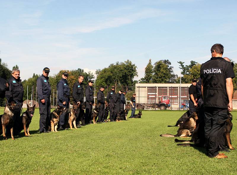 Nejlepší policejní psi a jejich páníčkové z řad severomoravských ochránců zákona tento týden měří své síly v Bartošovicích na Novojičínsku