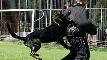 Nejlepší policejní psi a jejich páníčkové z řad severomoravských ochránců zákona tento týden měří své síly v Bartošovicích na Novojičínsku