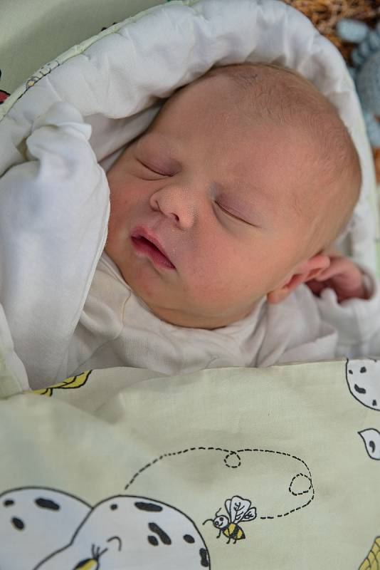 Adam Skácel, Karviná, narozen 11. listopadu v Karviné, míra 53 cm, váha 4000 g. Foto: Marek Běhan