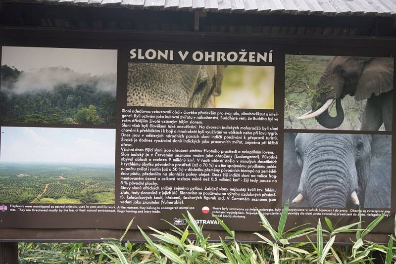 Pavilon slonů v ostravské ZOO. 