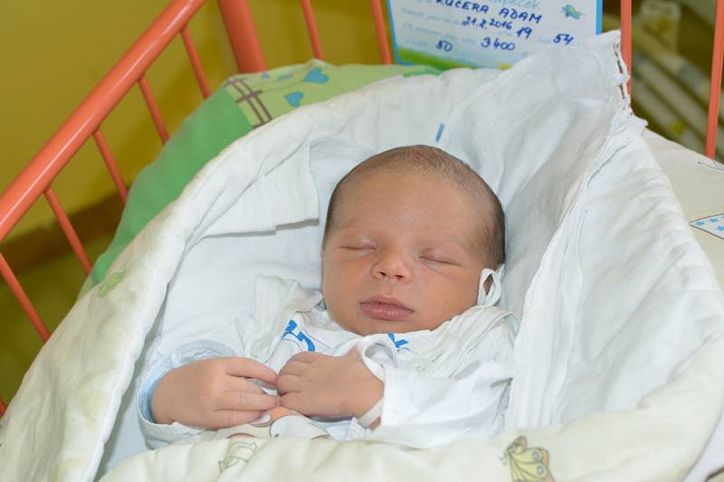 ADAM KUČERA 21. 8. 2016, 3400 g, 50 cm, Nový Jičín