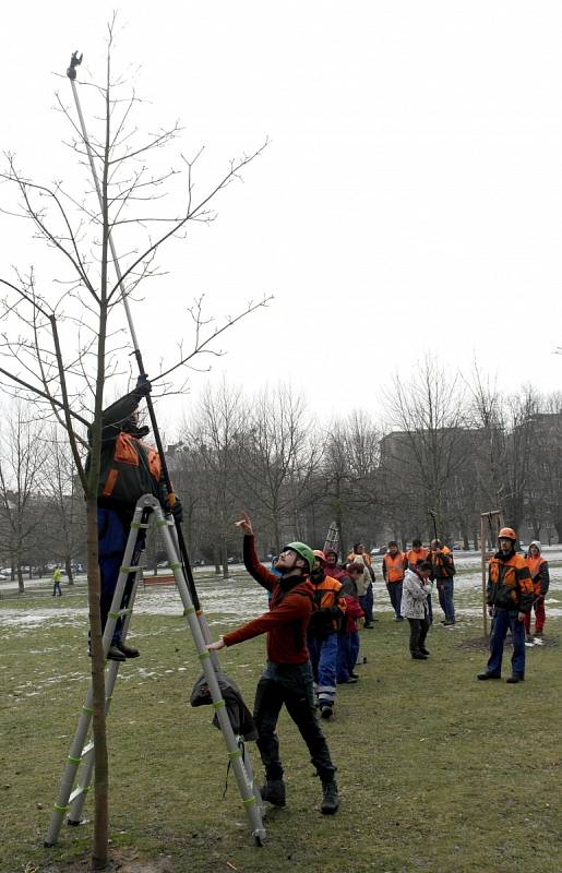 Školení pro porubské údržbářů obvodní zeleně na Havlíčkově náměstí.