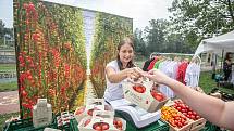 Víkendová pěší zóna Malá Kodaň, kde se uskutečnily farmářské Trhy, co se hledají, 15. srpna 2020 v Ostravě.