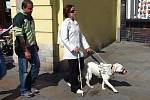 V centru Ostravy se v sobotu uskutečnila soutěž vodicích psů pro nevidomé a slabozraké