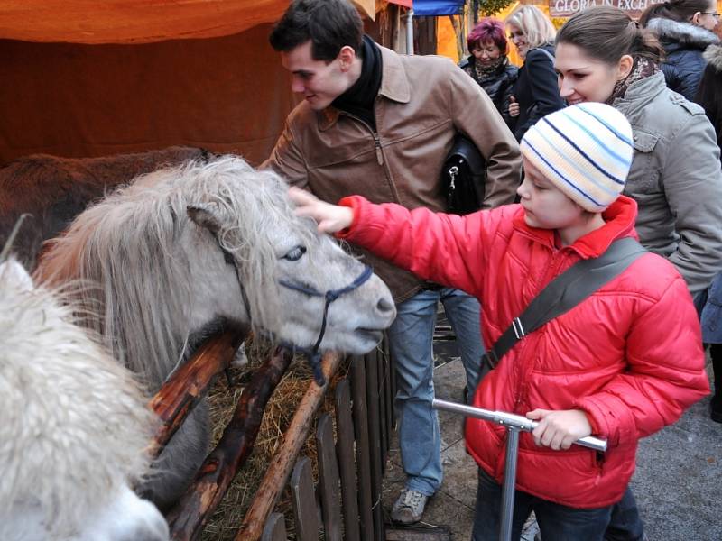 Na Masarykově náměstí v srdci Ostravy se konají vánoční trhy. Kromě prodejních stánků se zde nachází dřevěný betlém, stan se živými zvířaty nebo stan s ukázkami tradičních řemesel.