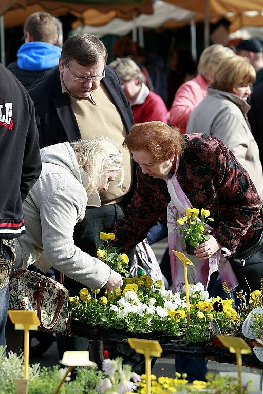 V Ostravě odstartovala sezona farmářských trhů. Výběr prozatím není tak bohatý jako v letním období, lidé si ale i ta mohou vybírat z nepřeberného množství zeleniny, ovoce, sazenic i bylinek. 