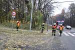 Vrbu, jejíž větve hrozily pádem, ořezávali v úterý dopoledne ostravští hasiči. Zasahovali u křižovatky ulic Plzeňské a U lesa nedaleko radnice v městské části Ostrava-Jih. 