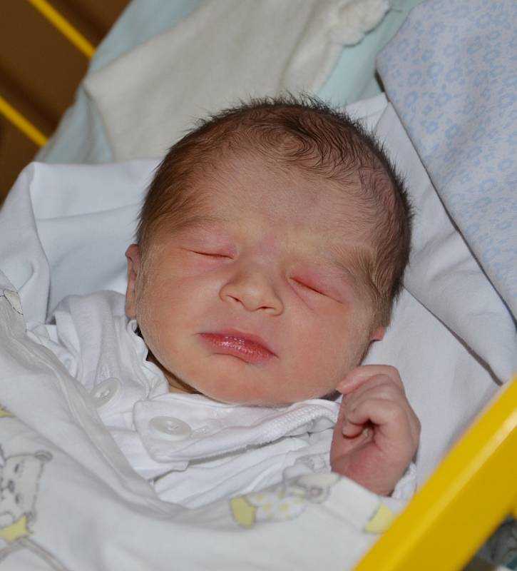 Karel Klestil, 6. 2. 2018, 49 cm, 3020 g, Praha. Fakultní nemocnice Ostrava.