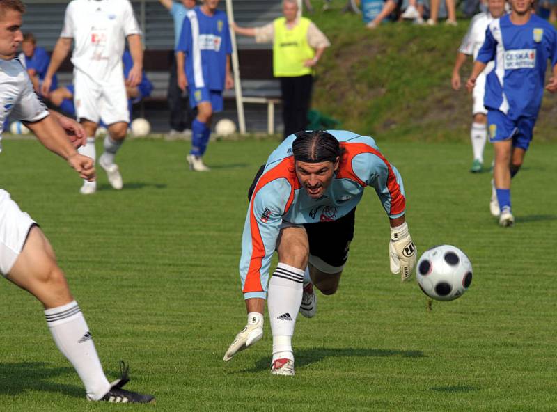 Pavel Srníček